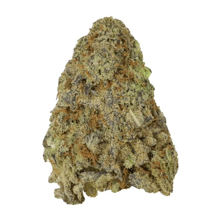 Himalayan Blackberry – 1oz / $50 | West Coast Cannabis Canada Himalayan Blackberry – 1oz / $50 | West Coast Cannabis Canada