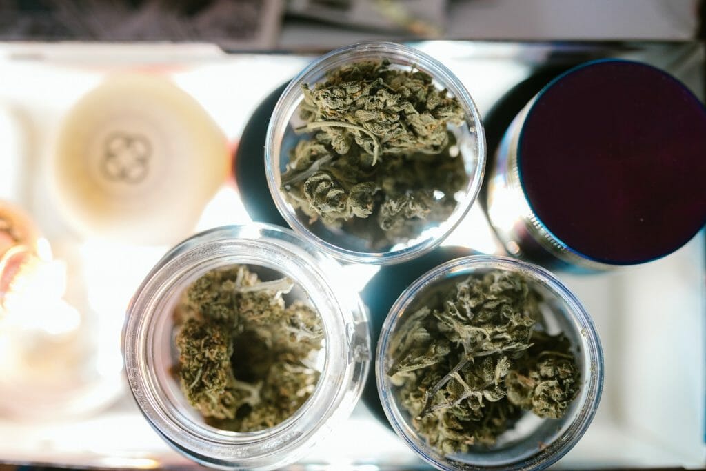 Best cannabis in Canada: Finding the Premium Hybrid Strains | West Coast Cannabis Canada | West Coast Cannabis Canada