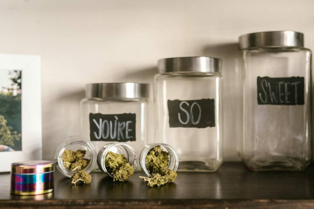 Beyond the Bud: The Role of a cannabis Dispensary in Promoting Wellness | West Coast Cannabis Canada | West Coast Cannabis Canada