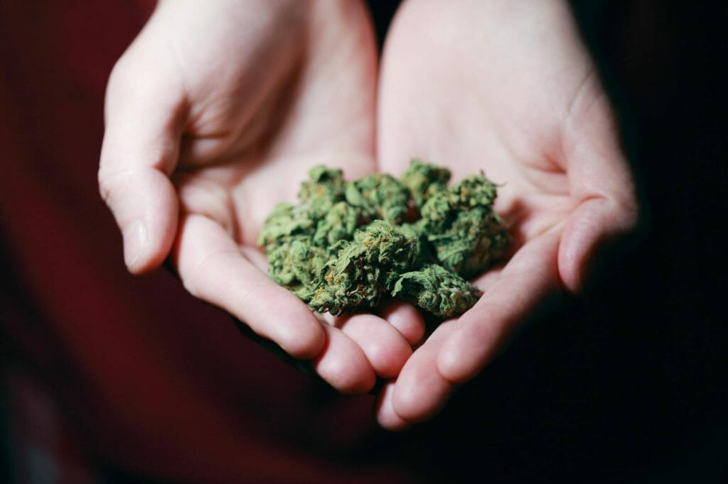 Elevate Your High With The Best Ontario cannabis Strains | West Coast Cannabis Canada | West Coast Cannabis Canada