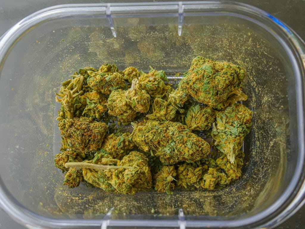 Best cannabis in Canada: Finding the Premium Hybrid Strains | West Coast Cannabis Canada | West Coast Cannabis Canada