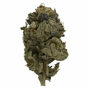 West Coast Cannabis Canada - Pink Gas Strain | West Coast Cannabis Canada