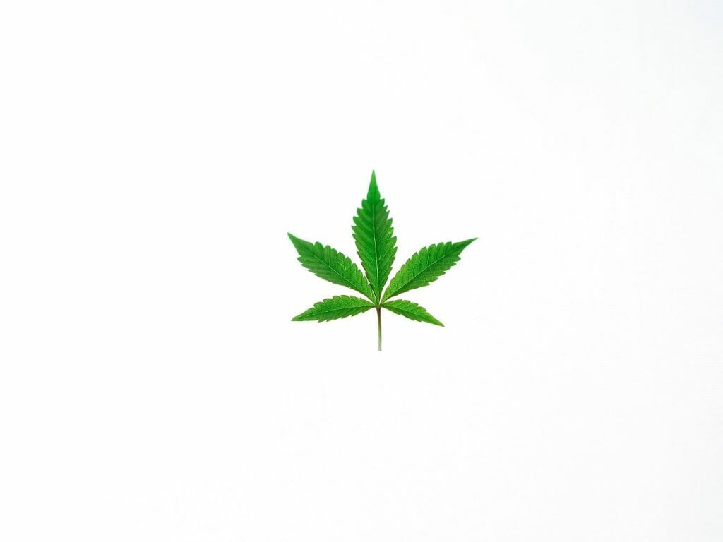 Benefits of Shopping in a BC cannabis Online Dispensary | West Coast Cannabis Canada