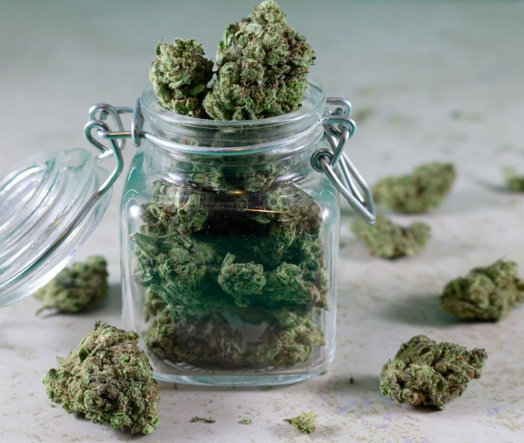 Bulk Weed: Unlocking the Power of Wholesale Cannabis | West Coast Cannabis Canada | West Coast Cannabis Canada