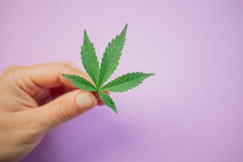 Discover How A cannabis Shop Helps You Better Understand Cannabis | West Coast Cannabis Canada | West Coast Cannabis Canada