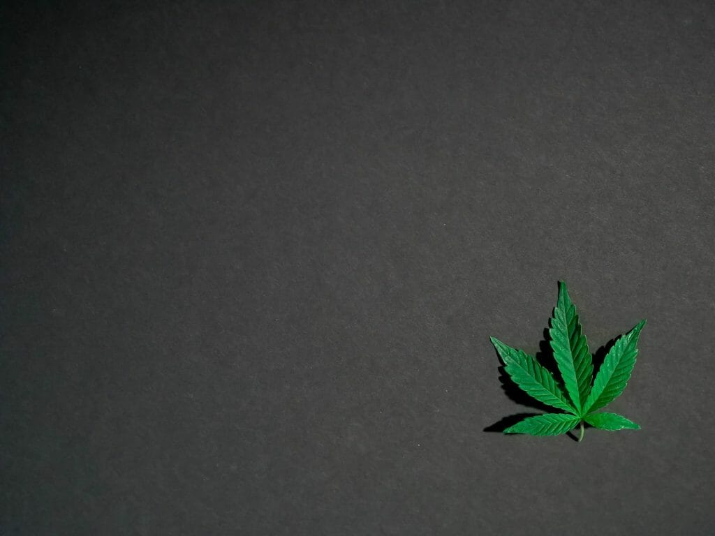 Hybrid Weed | West Coast Cannabis Canada