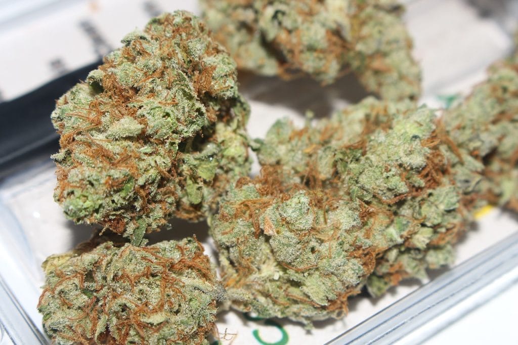 Hybrid cannabis Strains | West Coast Cannabis Canada