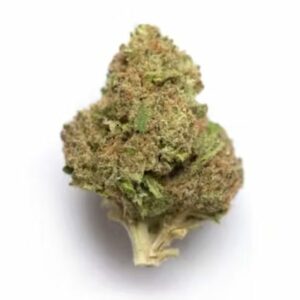 Supersonic | West Coast Cannabis Canada